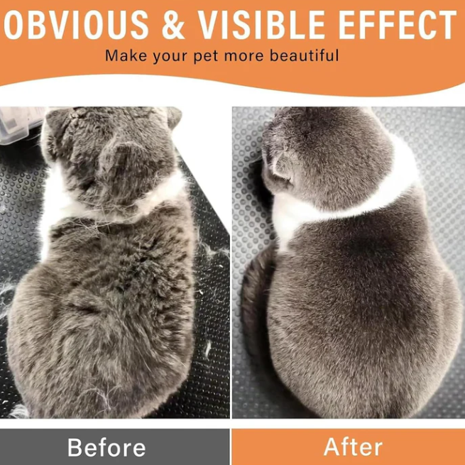 3 in 1 Pet Hair Removal Steam Comb, Perfect for Both Cats & Dogs ๐ถ๐ฑ